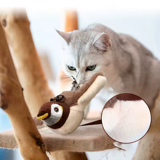 PounceBird