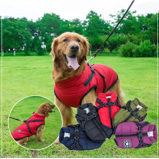 Four Seasons Pet Jacket